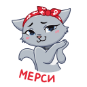:new_anfisa_mercy: